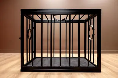 a black cage with handcuffs in a room at BDSM Red Apartments in Vilnius