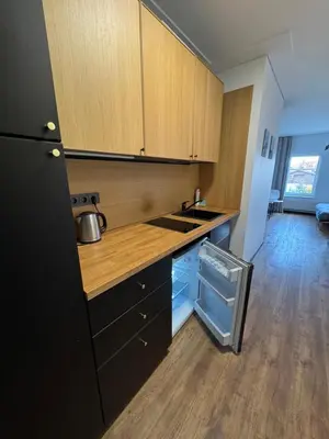 a kitchen with wooden cabinets and a sink and a dishwasher at Apartments in Kaunas in Kaunas