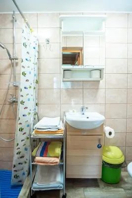 a bathroom with a sink and a shower at Pas Kaziuką namas-sodyba in Ignalina