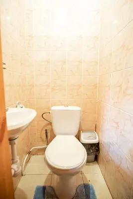 a small bathroom with a toilet and a sink at Pas Kaziuką namas-sodyba in Ignalina