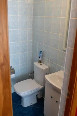 a bathroom with a toilet and a sink at Apartamentai Šilas in Druskininkai