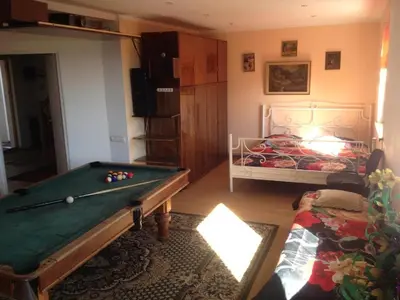 a living room with a pool table and a bed at Pirtis Prie Neries Jonava in Jonava
