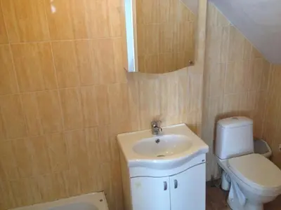 a bathroom with a sink and a toilet at Pirtis Prie Neries Jonava in Jonava