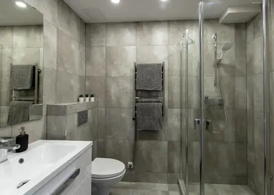 a bathroom with a shower and a toilet and a sink at Studio Ligita near Egle in Druskininkai