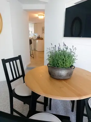 a wooden table with a potted plant on top of it at Naktakės apartamentai in Kupiškis