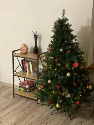 a christmas tree in a room with a book shelf at V15 Apartment in Druskininkai