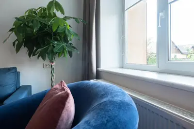 a living room with a blue couch and a plant at G & M Apartamentai in Anykščiai