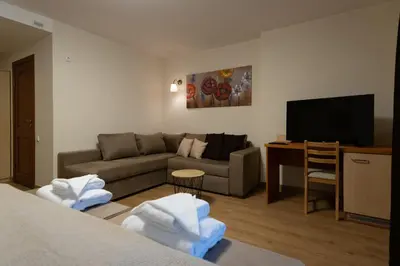 a living room with a couch and a flat screen tv at Senasis Nemunas in Druskininkai