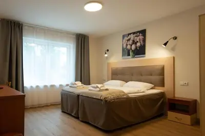 a bedroom with a large bed with a window at Senasis Nemunas in Druskininkai
