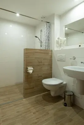 a bathroom with a toilet and a sink at Senasis Nemunas in Druskininkai