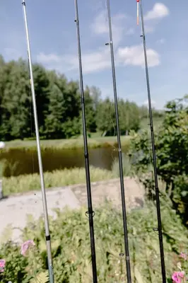 a group of poles in a garden with a pond at Green Town in Vievis