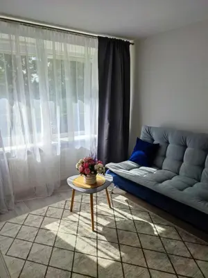 a living room with a couch and a table at Upės apartamentai in Biržai