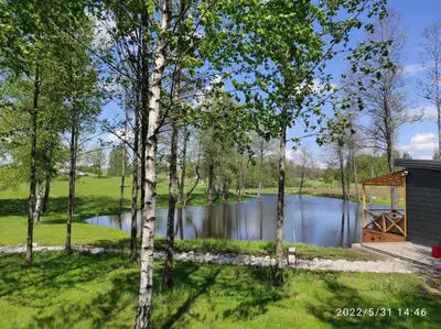 a view of a lake in a park with trees at Poilsio namas Vydautiškių slėnis in Sudervė