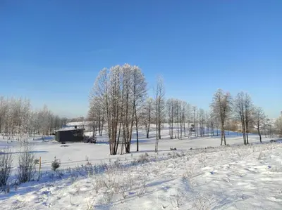 a snow covered field with trees and a trailer at Poilsio namas Vydautiškių slėnis in Sudervė