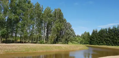 a river with trees on the side of it at Lazariškio apartamentai in Martyniškėnai