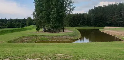a tree on a golf course next to a pond at Lazariškio apartamentai in Martyniškėnai