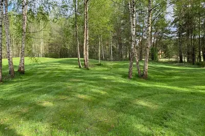 a golf course with trees and a green field at Forest house for family in Lebeniškiai