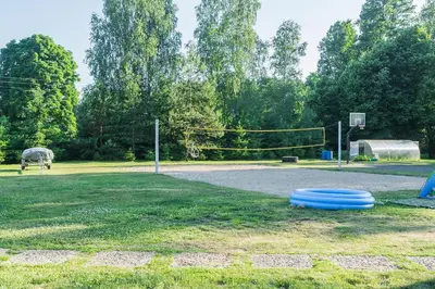 a basketball hoop with blue frisbees on the grass at Super Sodyba in Pamusiai