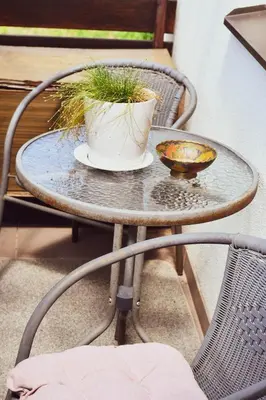 a table with a potted plant on top of it at Central Park Apartment Birštonas in Birštonas