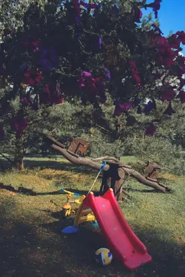 a childs toy in the grass next to a tree at Namelis Rudnios kaime “Nykštukas” in Rudnia