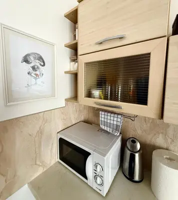 a kitchen with a microwave on a counter at CENTRO House in Alytus
