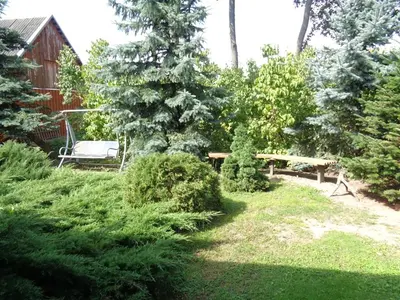 a garden with a bench and trees and a house at Sodyba Skardupiai in Vidgiriai