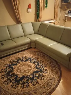 a living room with a green couch and a rug at Sodyba Skardupiai in Vidgiriai