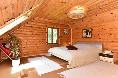 a bedroom with a bed in a log cabin at Sodyba “Rita” in Mėčiūnai