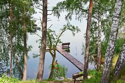 a tree house in the middle of some trees at Sodyba “Rita” in Mėčiūnai
