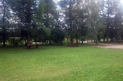 two benches in a park with trees and grass at Berzu aleja in Birštonas