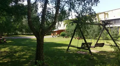 a swing hanging from a tree in a park at Berzu aleja in Birštonas
