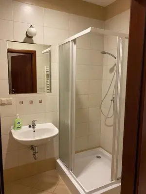 a bathroom with a shower and a sink at Liškiavos vienuolyno ansamblis in Liškiava