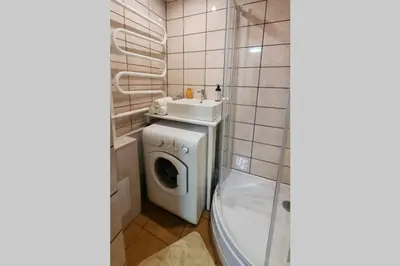 a bathroom with a washing machine and a sink at Butas Ignalinos centre poilsiui ir darbostogoms in Ignalina