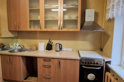 a kitchen with a sink and a stove top oven at Butas Ignalinos centre poilsiui ir darbostogoms in Ignalina