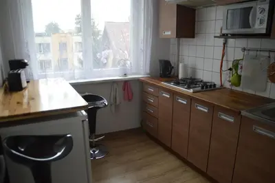 a kitchen with a sink and a stove top oven at Mildos butas in Birštonas