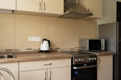 a kitchen with a stove and a microwave at 4 Apartment Between two lakes in Vilnius
