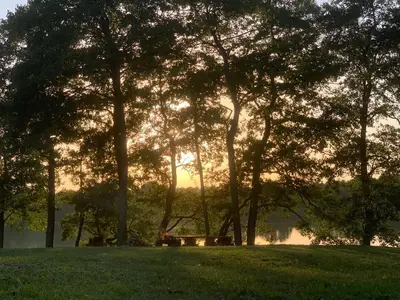 a park with trees and a bench in the grass at Kedras Glamping - Pod tipo nameliai in Prapuntai