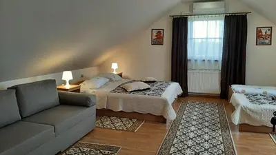 a living room with a bed and a couch at Panorama in Trakai