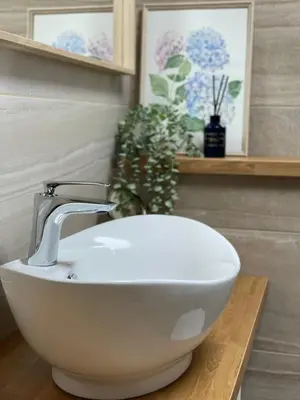 a bathroom with a sink and a plant on a counter at Forest Studio in Druskininkai
