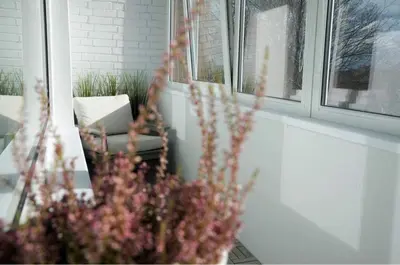 a vase of flowers in front of a window at Vytautas Park Apartment with FREE Parking in Marijampolė