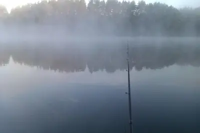 a pole in the middle of a lake in the fog at Likimo ratas in Paliepis