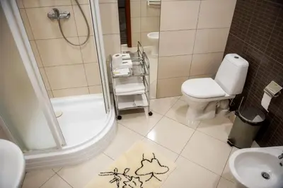 a bathroom with a shower and a toilet and a sink at Vingis in Marijampolė