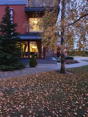 a building with a tree and leaves in front of it at Vingis in Marijampolė