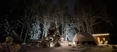 a park covered in snow at night with trees at Žuvininkų pirtelė in Šiauliai