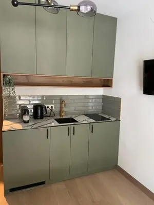 a kitchen with green cabinets and a sink at Greenwood apartments in Druskininkai
