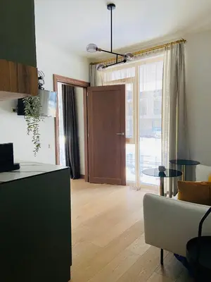 a living room with a couch and a large window at Greenwood apartments in Druskininkai