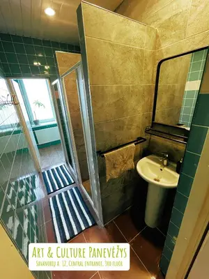 a bathroom with a sink and a toilet and a mirror at Art & Culture Panevėžys in Panevėžys