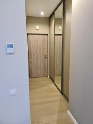 a hallway with a wooden door and mirrors at Apartment DoMiSol in Druskininkai