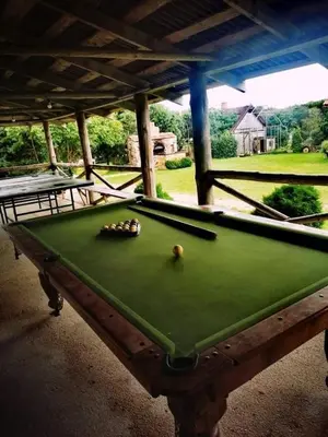 a green pool table with a ball on it at Molynė in Kaulakiai