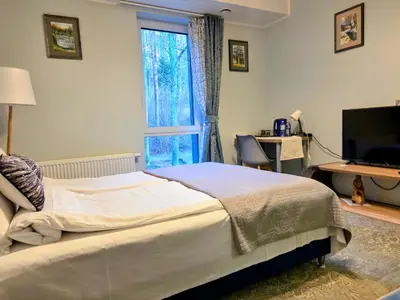 a bedroom with a bed and a television and a window at Vilhelmhaus in Dėdeliškės